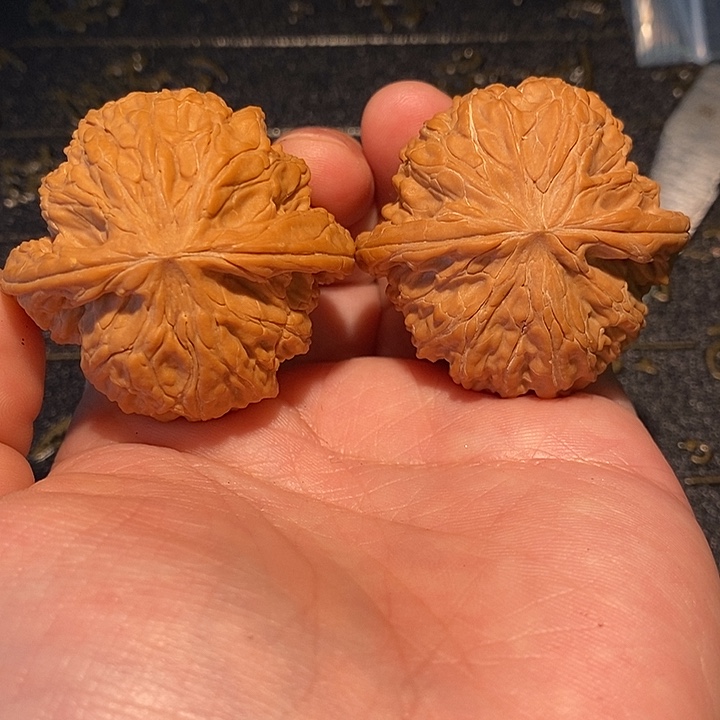 d***g核桃手串/手链42 磨盘