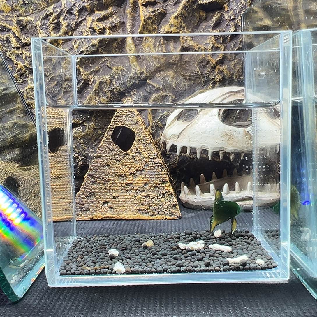 斗鱼精品精品精品精品精品