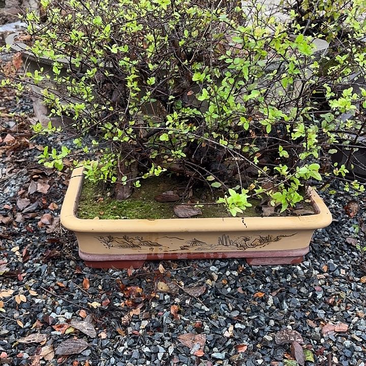 乐***民无花朵哈哈哈哈哈