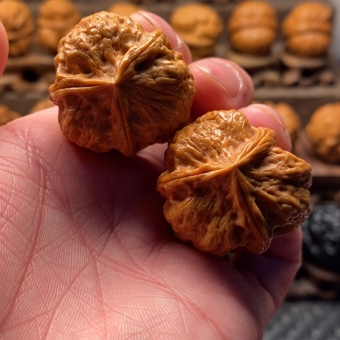 文玩核桃把件梅花三棱35尺寸