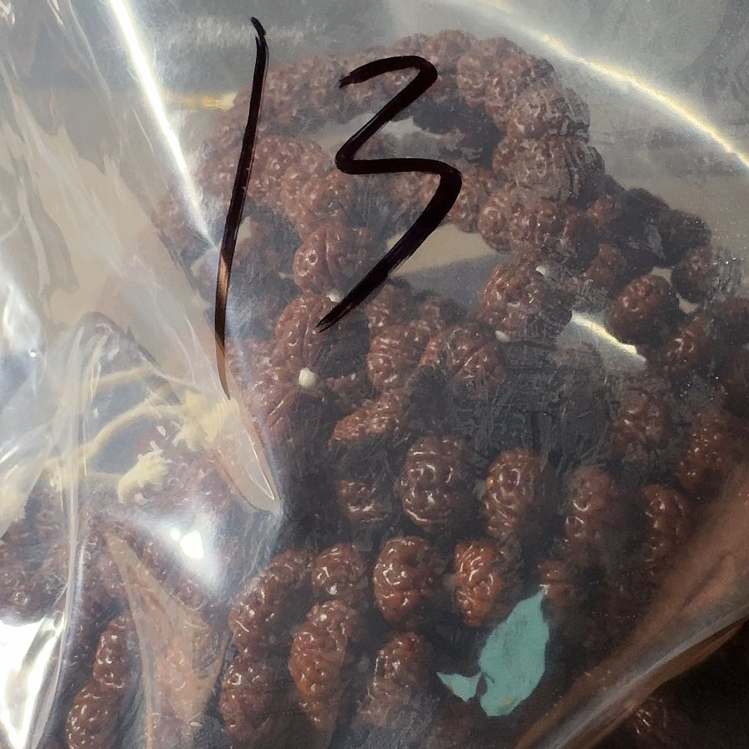 吊坠金刚菩提黄金甲手持