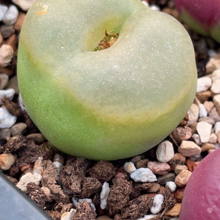 78008888888888898888