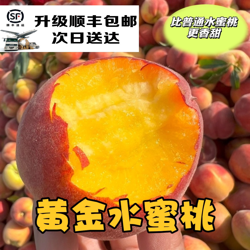 ［顺丰包邮］黄金水蜜桃孕妈推荐新鲜脆桃现摘当季软糯爆汁黄金蜜