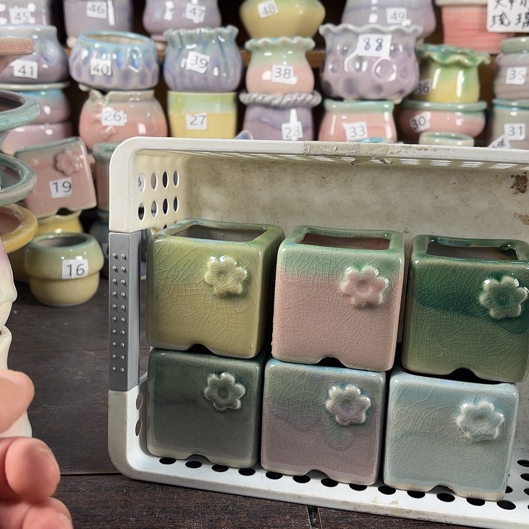 量货/4.5-6口高5深浅搭配发6