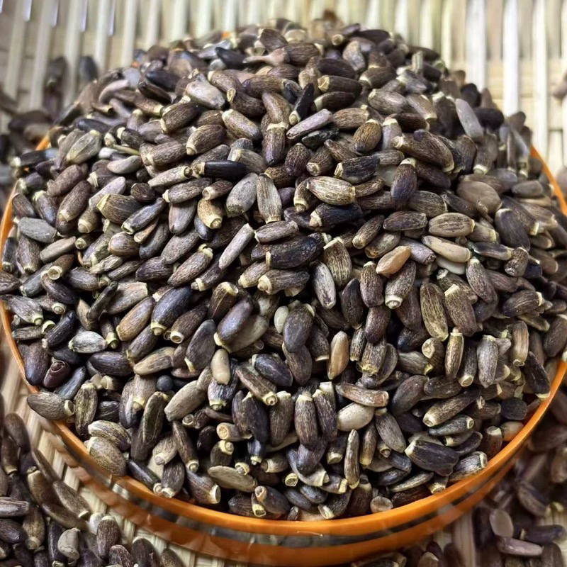 【大个山货】云南中缅边境深山水飞蓟