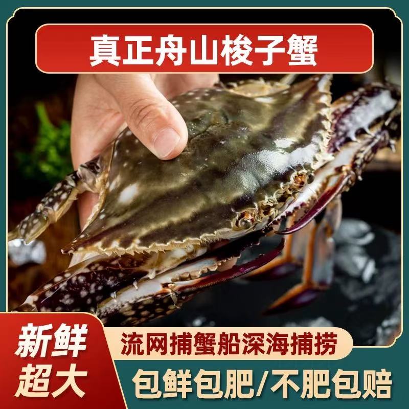 野生海捕舟山梭子蟹肉母蟹5-6两/只 半斤一只  净重3斤/箱【冻蟹】
