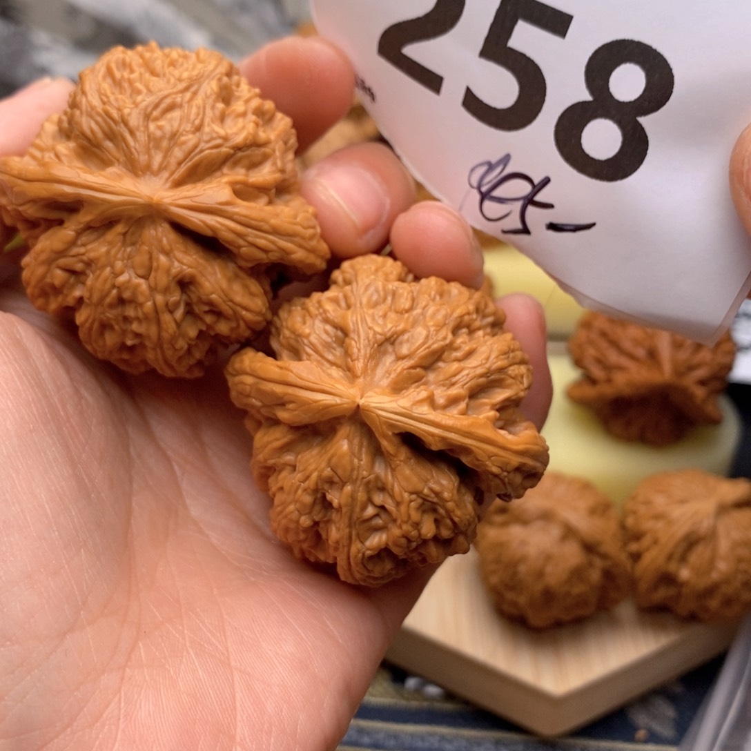 文玩核桃把件258号44家粗筋