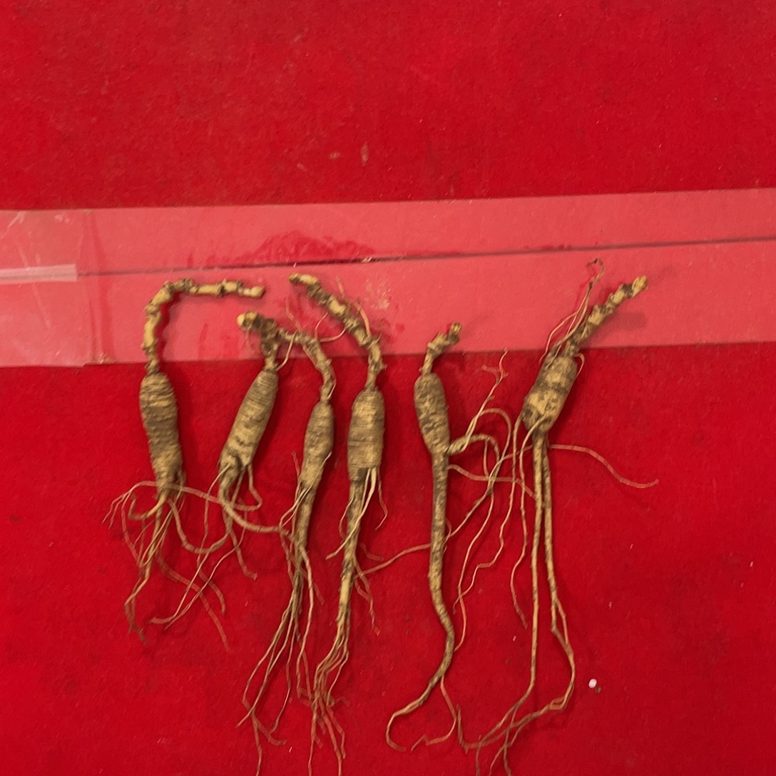 中国大陆长白山1号