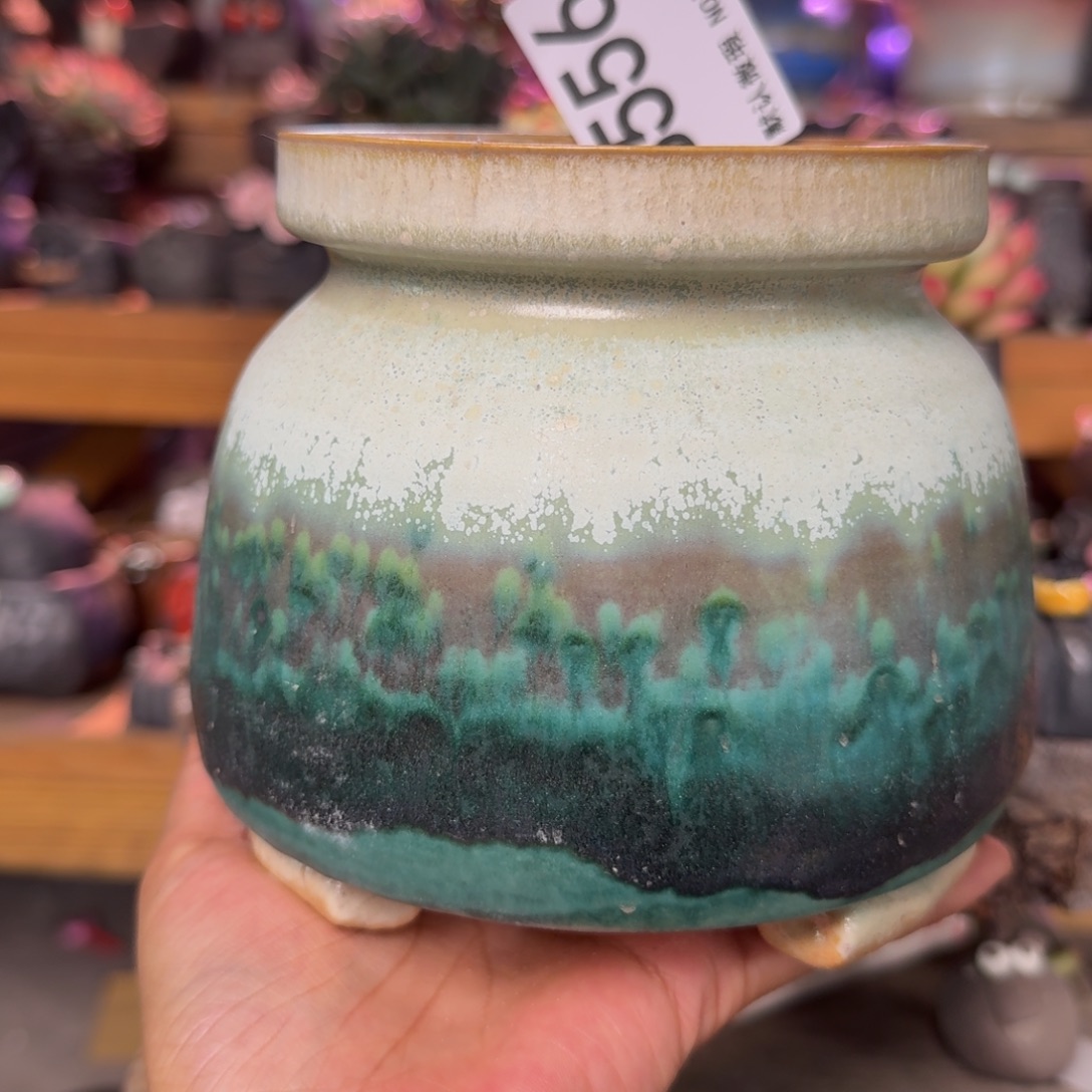 重庆小燕子欢迎大家556