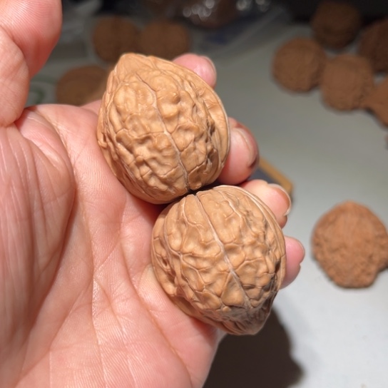 吊坠文玩核桃龟甲纹