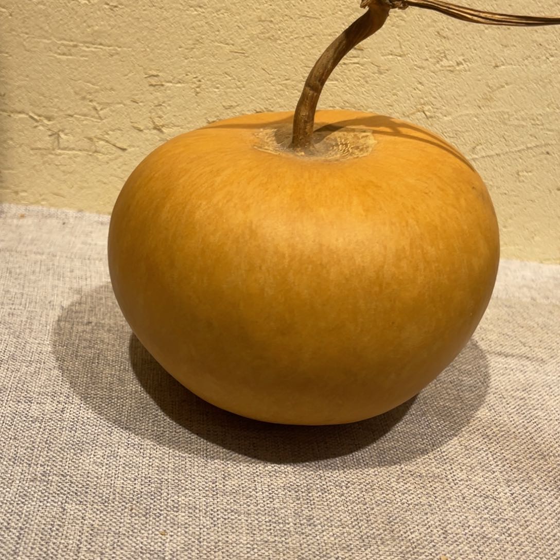 开***果仿木不包邮不保龙头