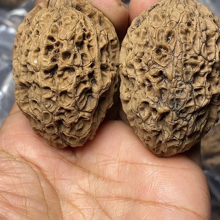 文玩核桃把件云南铁核桃98