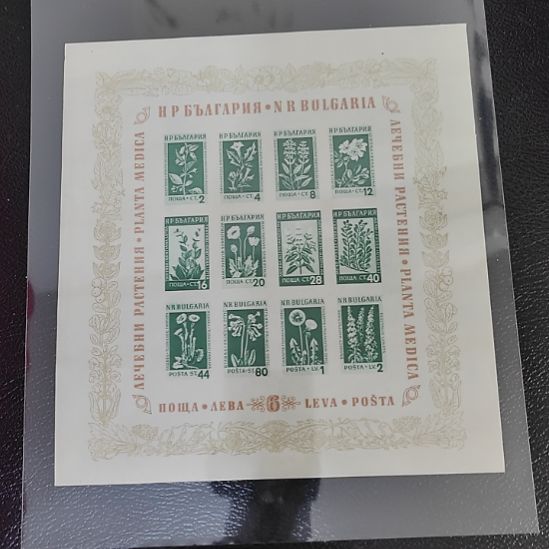 263哈哈哈哈哈哈哈哈哈哈瓷