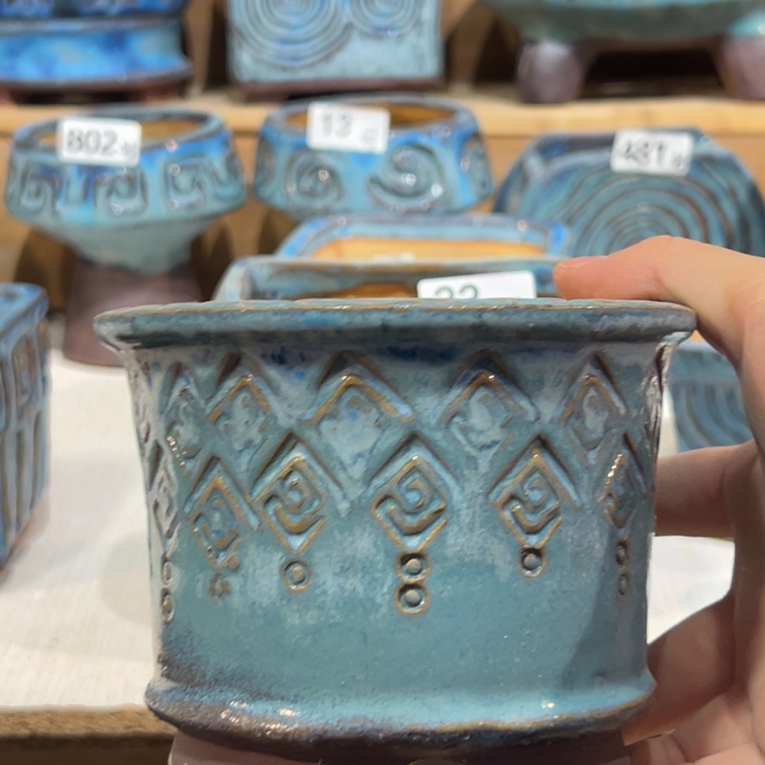 南***.尚雅陶坊多肉花盆，待选盆