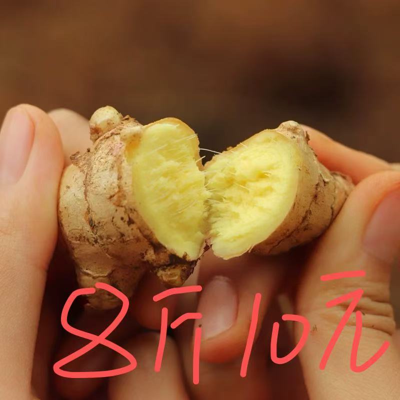 【净重8斤】高山小黄姜土生姜一年老姜断姜碎姜泡脚姜养生姜理疗姜