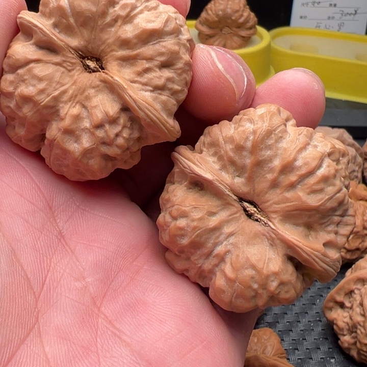 不***菜核桃文玩核桃文玩核桃