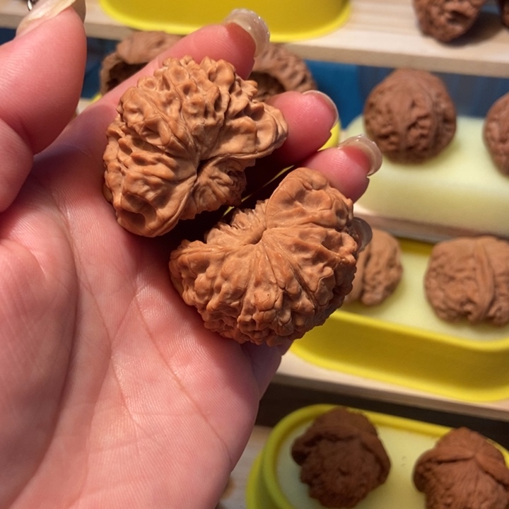 官方网站发布消息