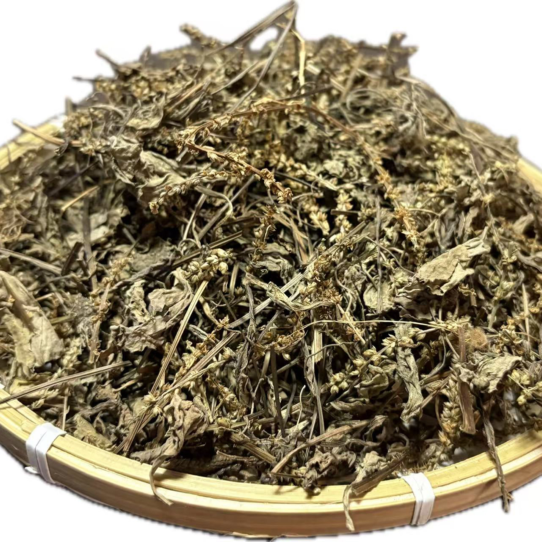 云南深山农村自然晒干车前草可搭配猫爪草
