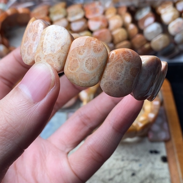 短***发颈饰未镶嵌硅化珊瑚（珊瑚玉）