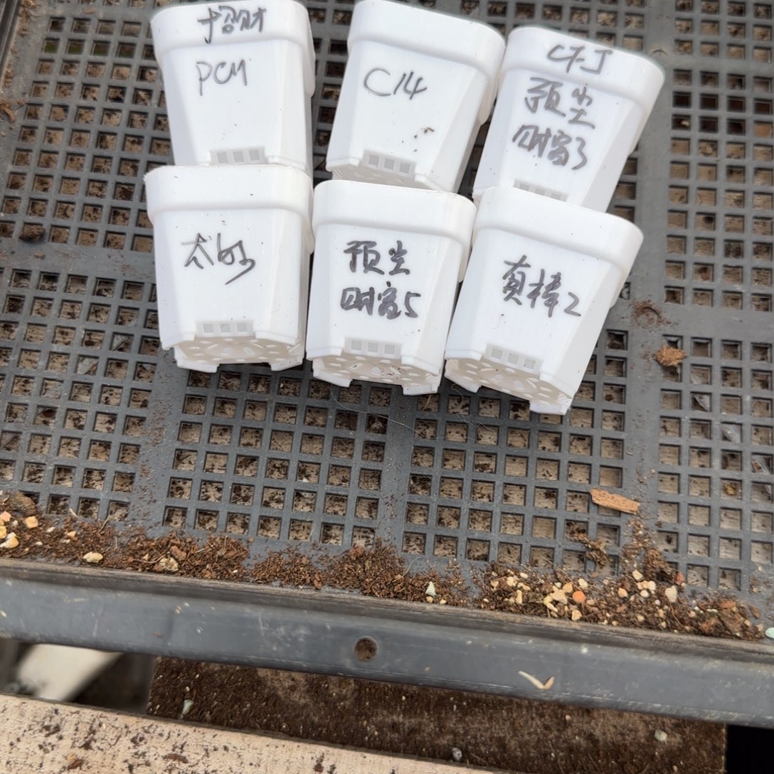 财富6 件套个满25包邮