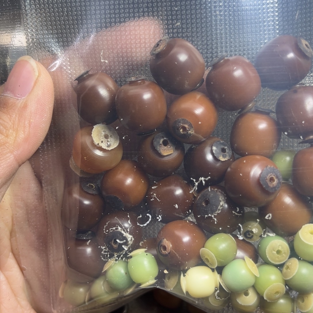 菲***子菩提根/象牙果吊坠