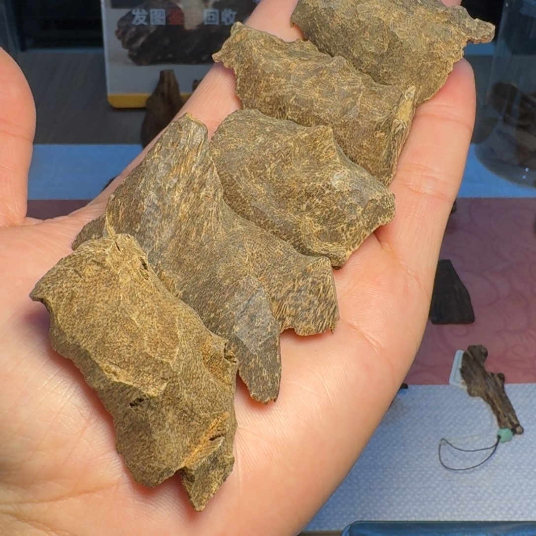 沉香沉香碎屑芽庄熏香料1g装（10g送炉）