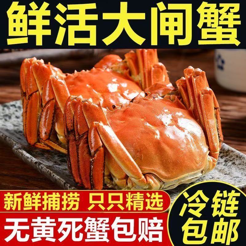 【活蟹】江苏精品大闸蟹全母蟹3两5对礼盒装顺丰京东空运到家