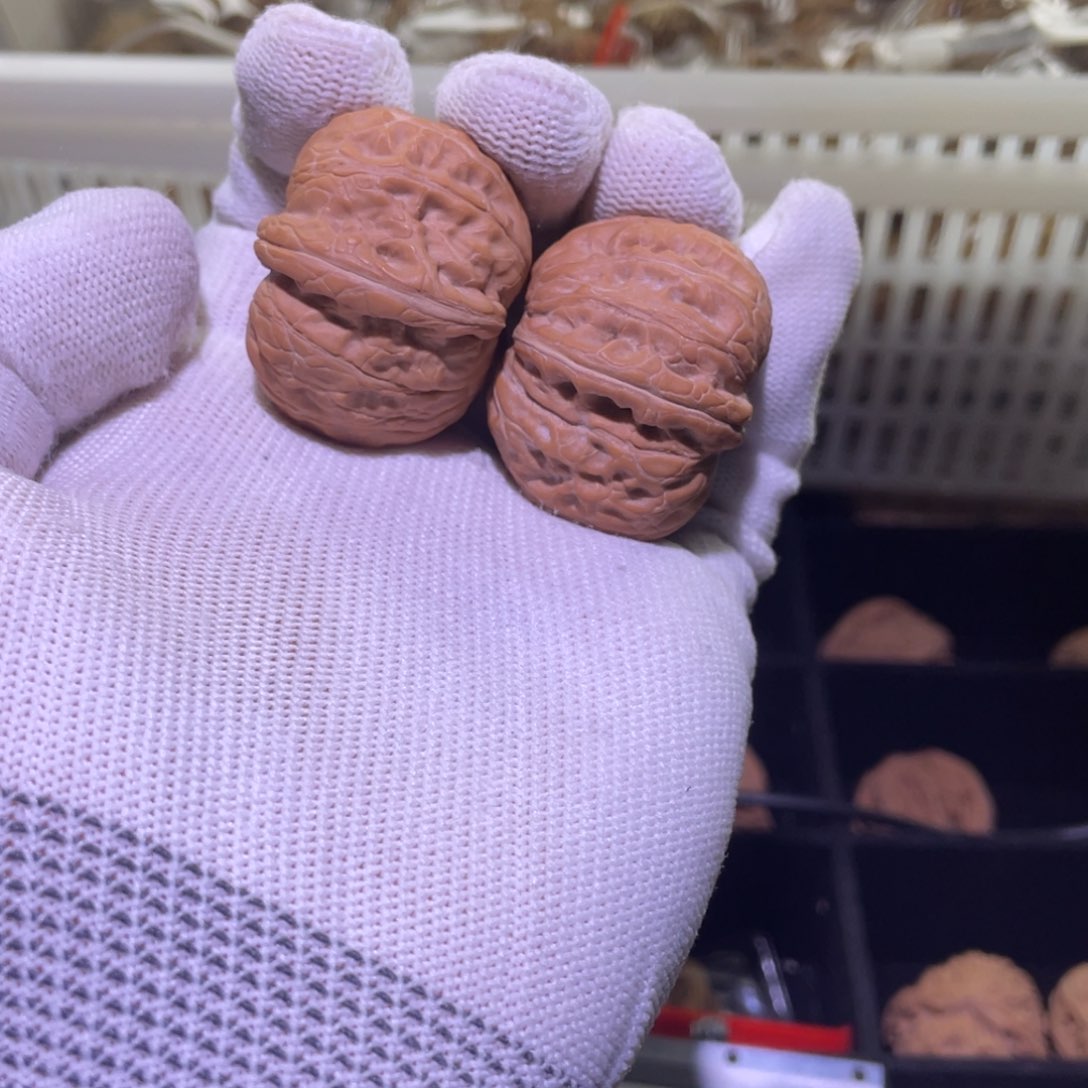 文玩核桃把件519 平谷元宝