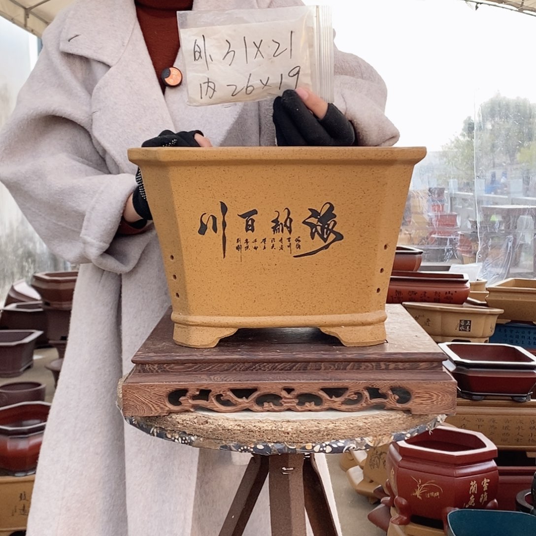 紫砂花盆紫砂花盆