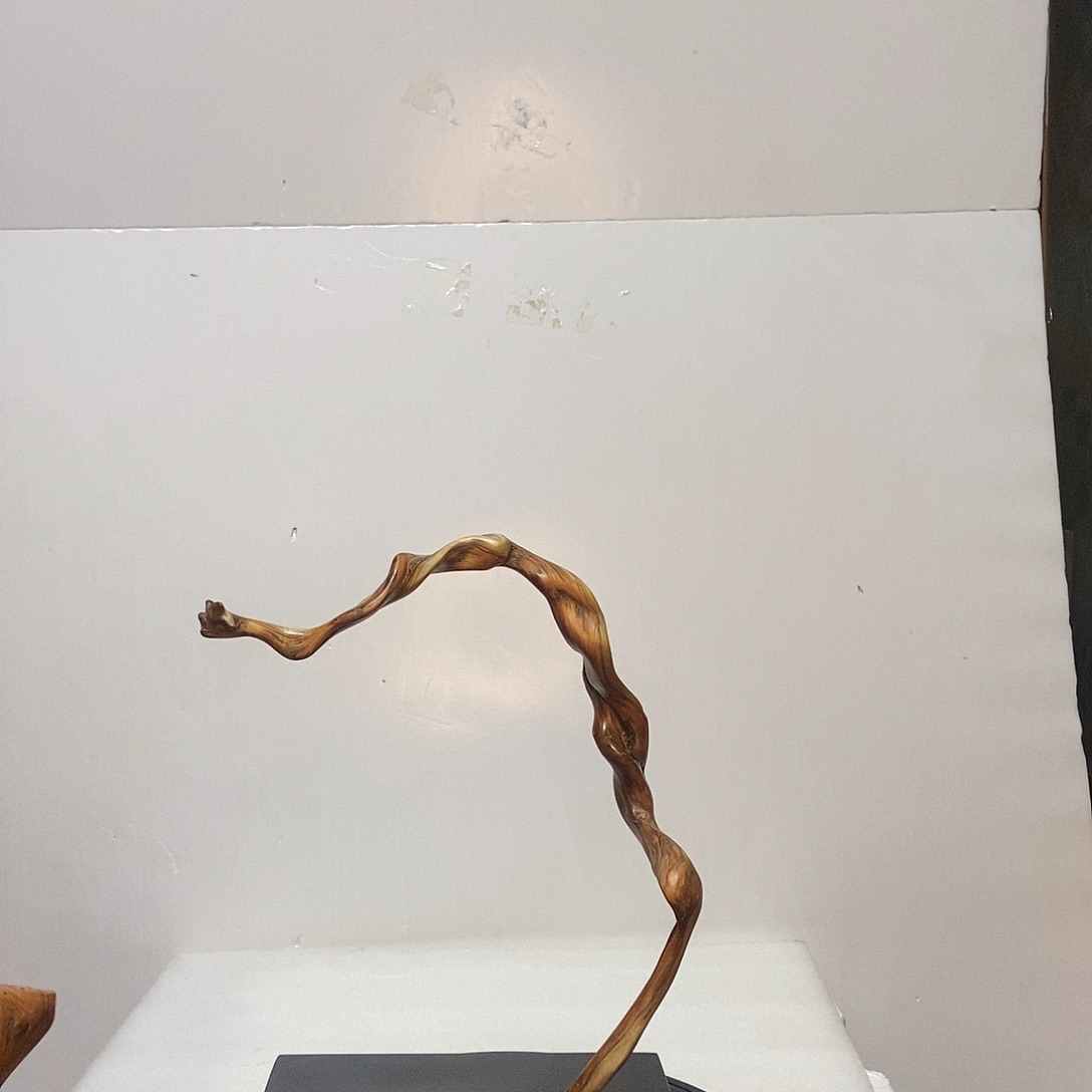 柏木（崖柏）吉*崖柏