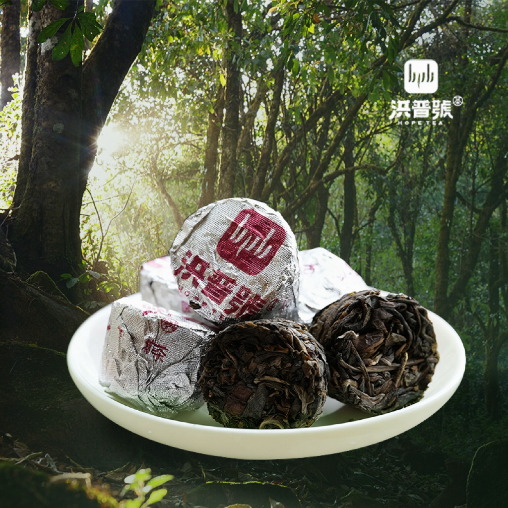 洪普号 2023年头春【太阳箐单株】森林古树 高海拔岩韵小沱30颗/盒