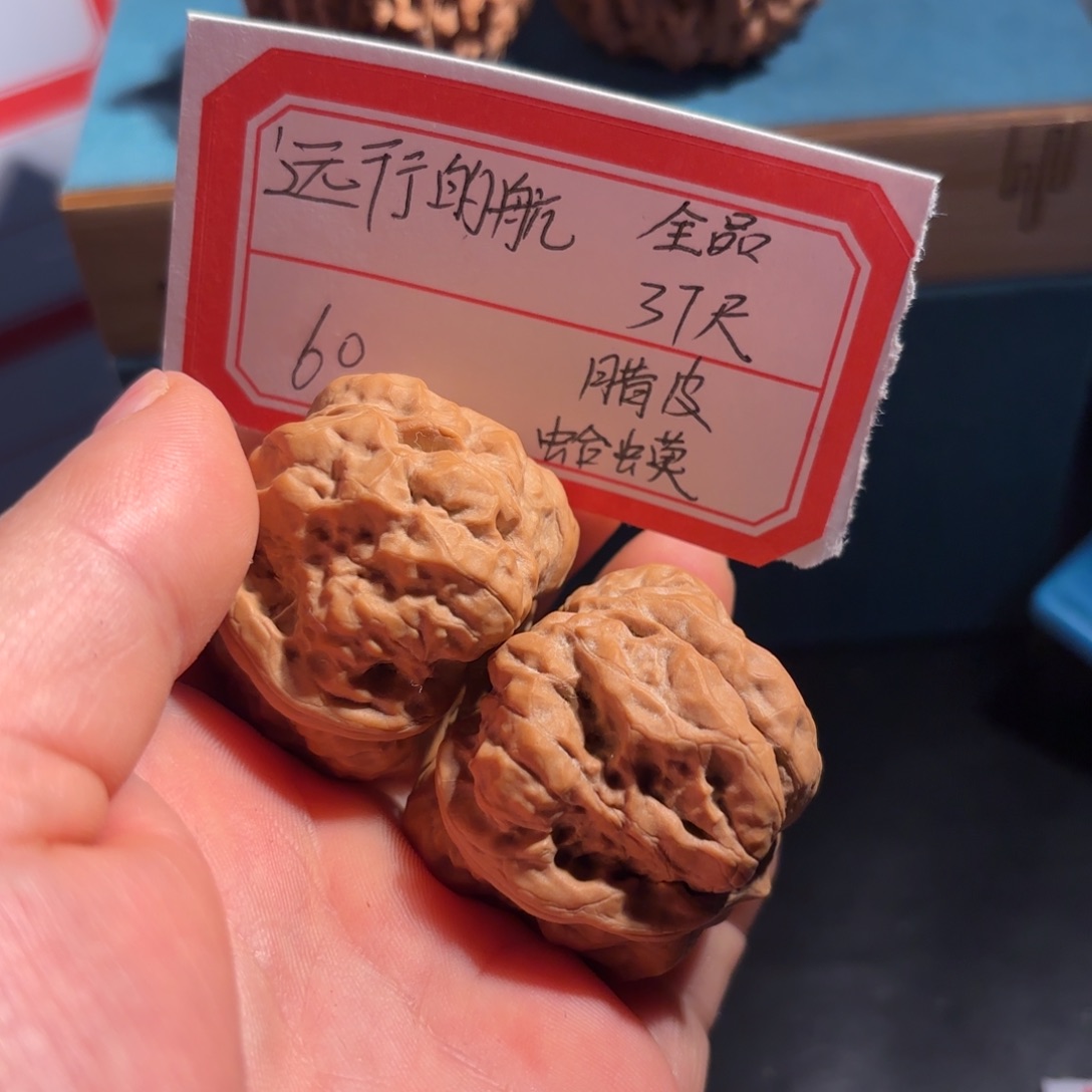 远***航桃木37蜡皮蛤蟆头全品