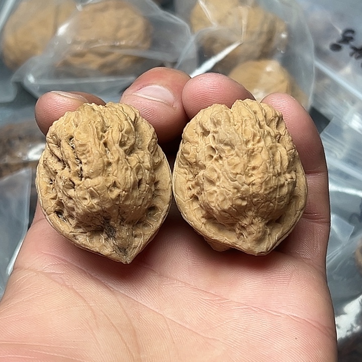 核桃6号古陀蟾40尺