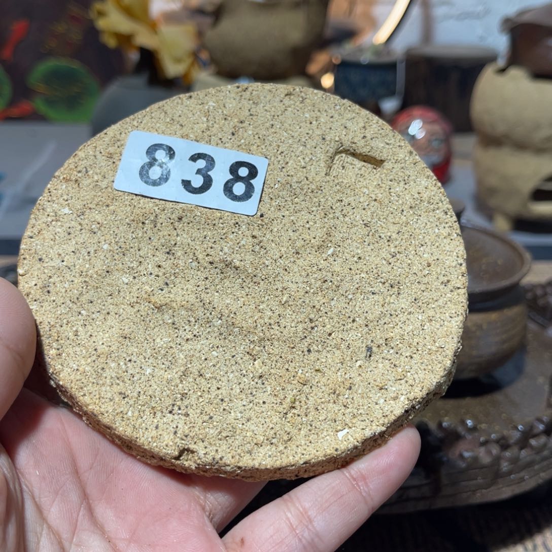 木村信弘柴烧保平