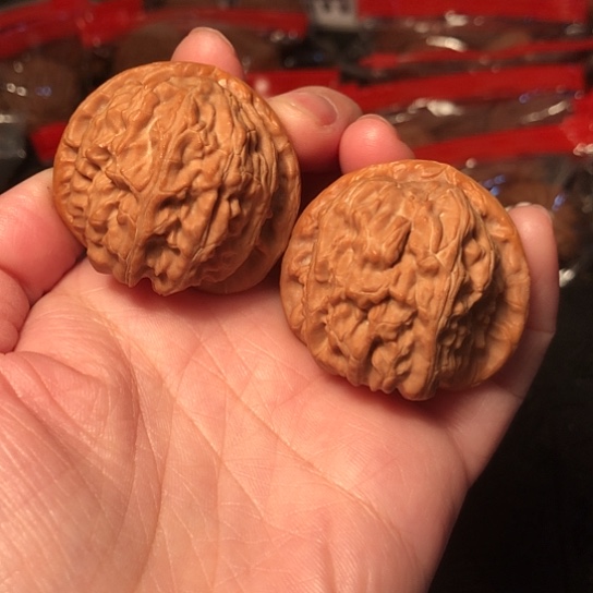 文玩核桃把件白狮子40+