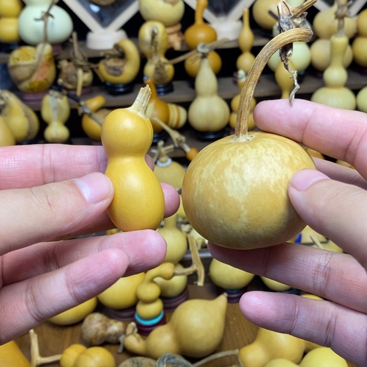 浛***饱一物一拍偏远地区不包邮
