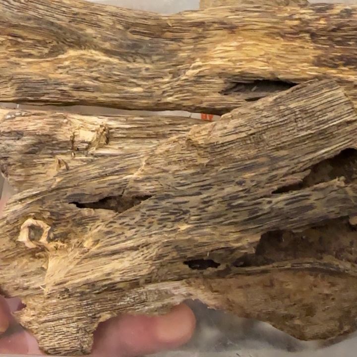 招***~沉香碎屑沉香144.5克