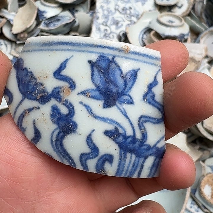 奥***l瓷片瓷片标本，顺丰包邮