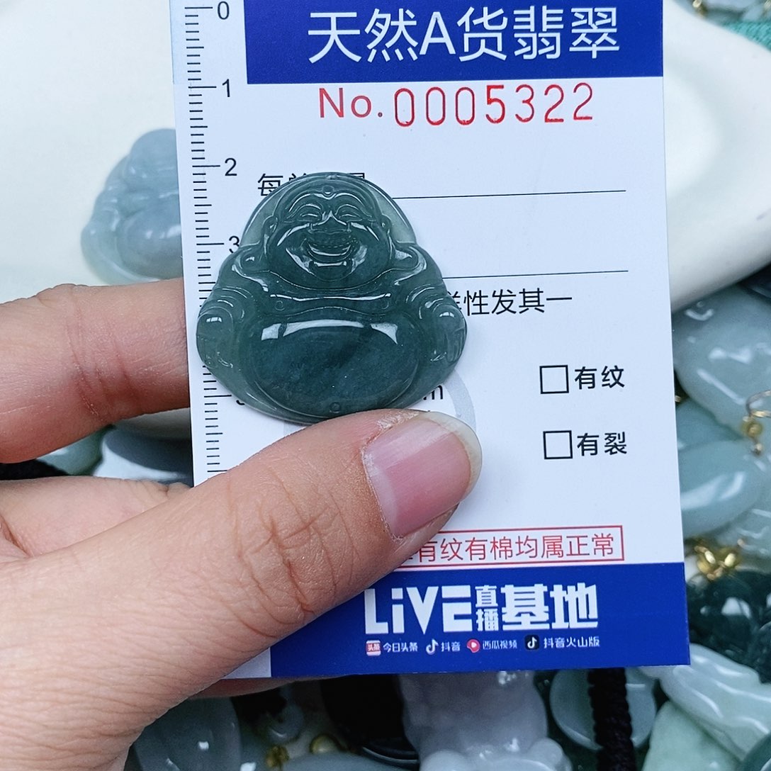 翡翠吊坠(赠链)未镶嵌