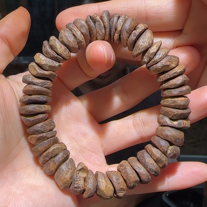 沉香手串海南老白棋沉水树丁手串25克