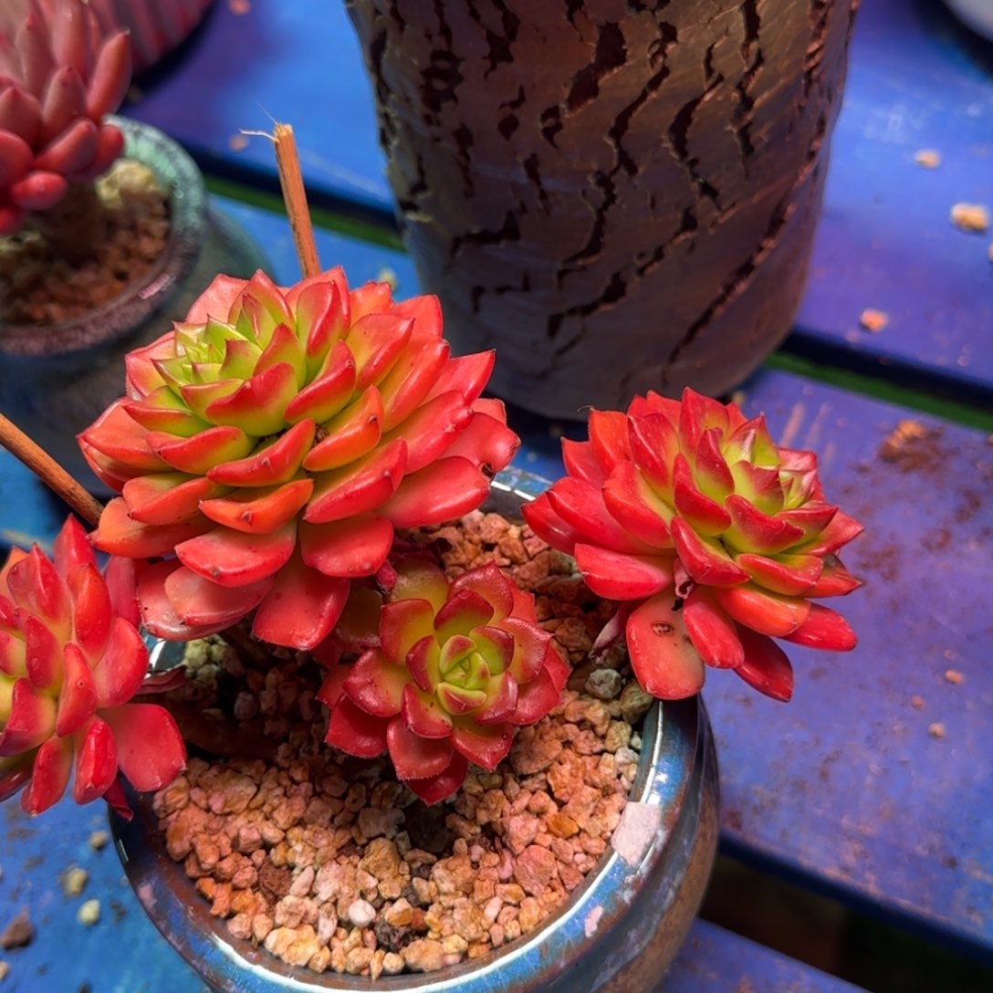 002计划好的时候就会有