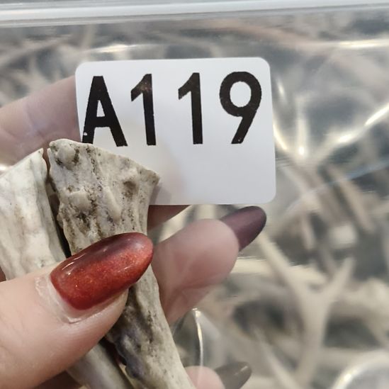 一***卄鹿角鹿角鹿角鹿角鹿角