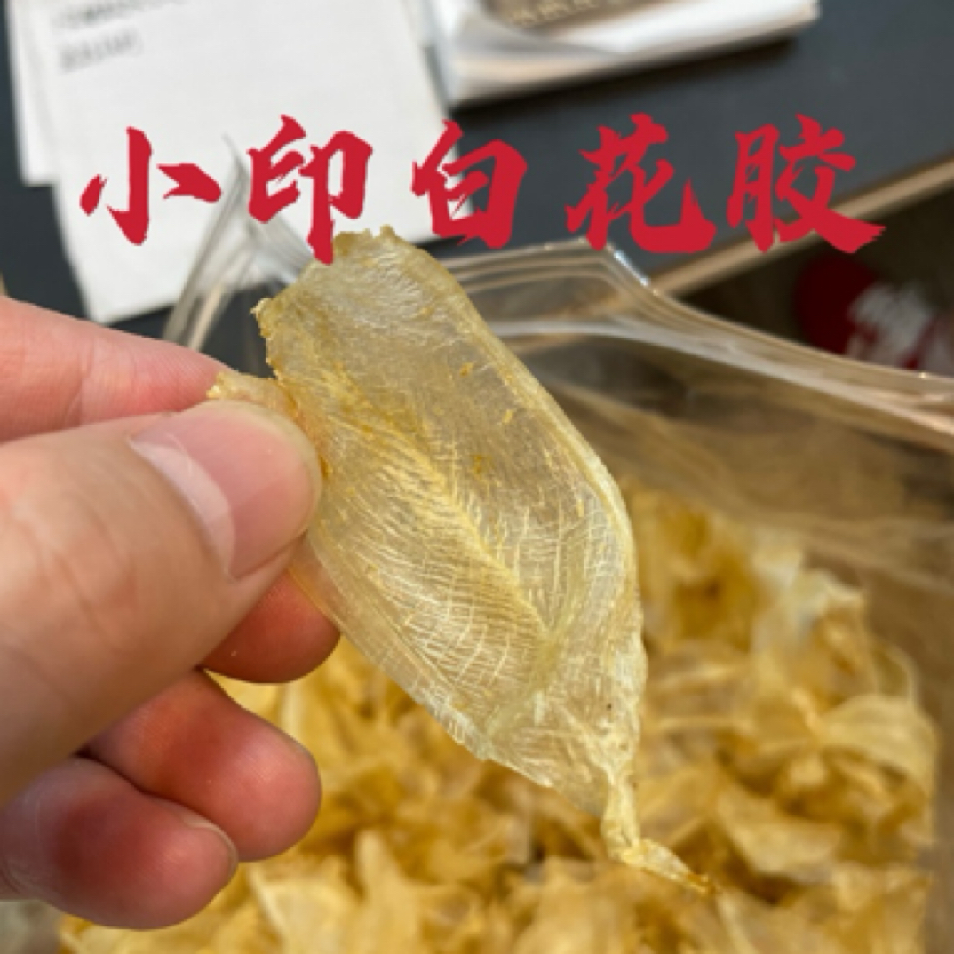 野生小印白 深海月子白花胶性价好特高口粮自吃广东鱼胶