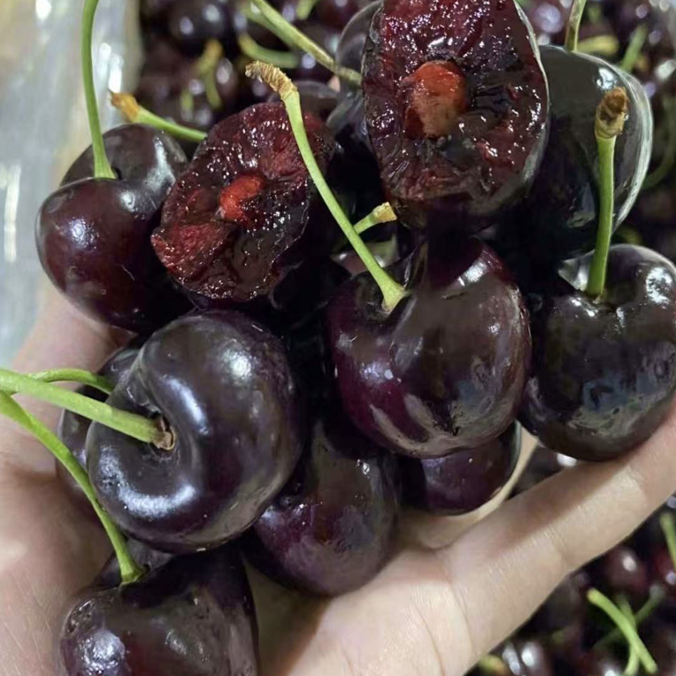 车厘子3JDD【峨眉同城鲜果】5斤空运海运