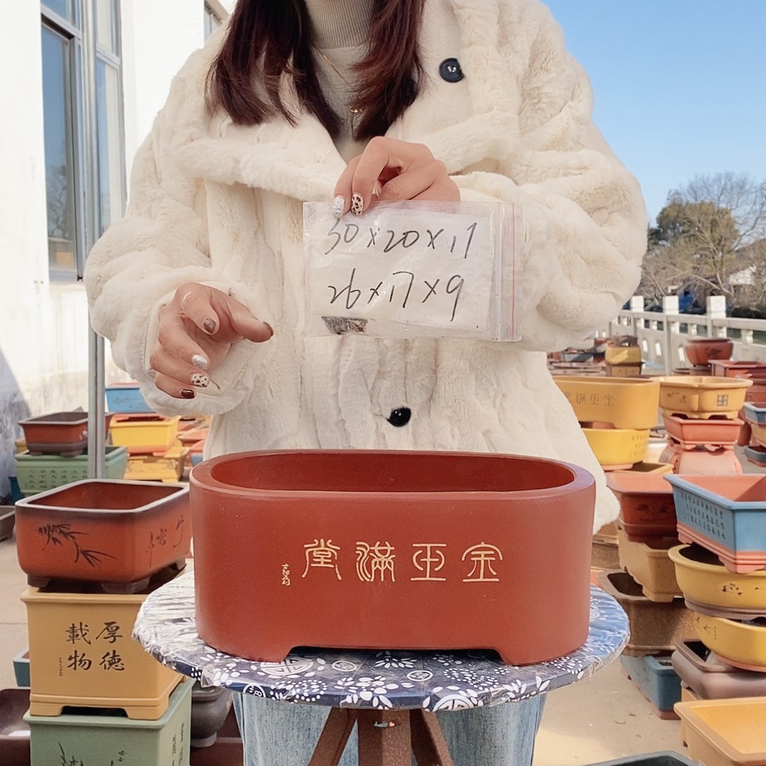 紫砂花盆紫砂花盆