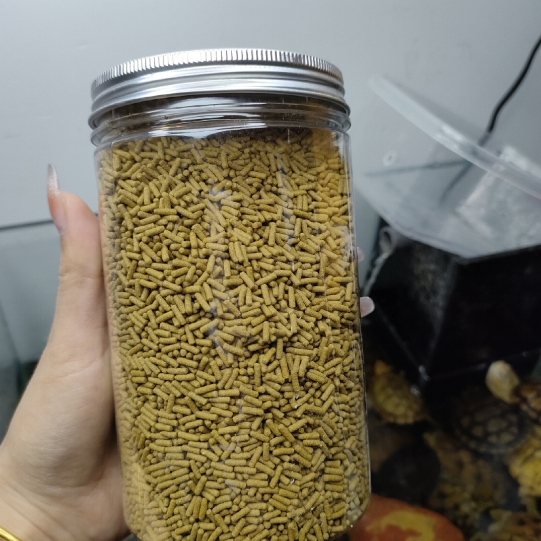 乌龟增黄饲料 乌龟发色