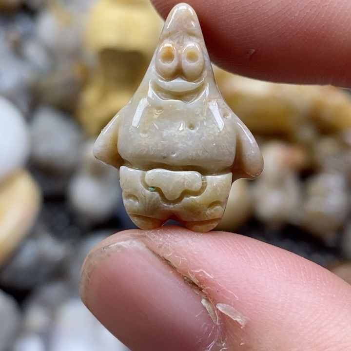 颈饰未镶嵌硅化珊瑚（珊瑚玉）小