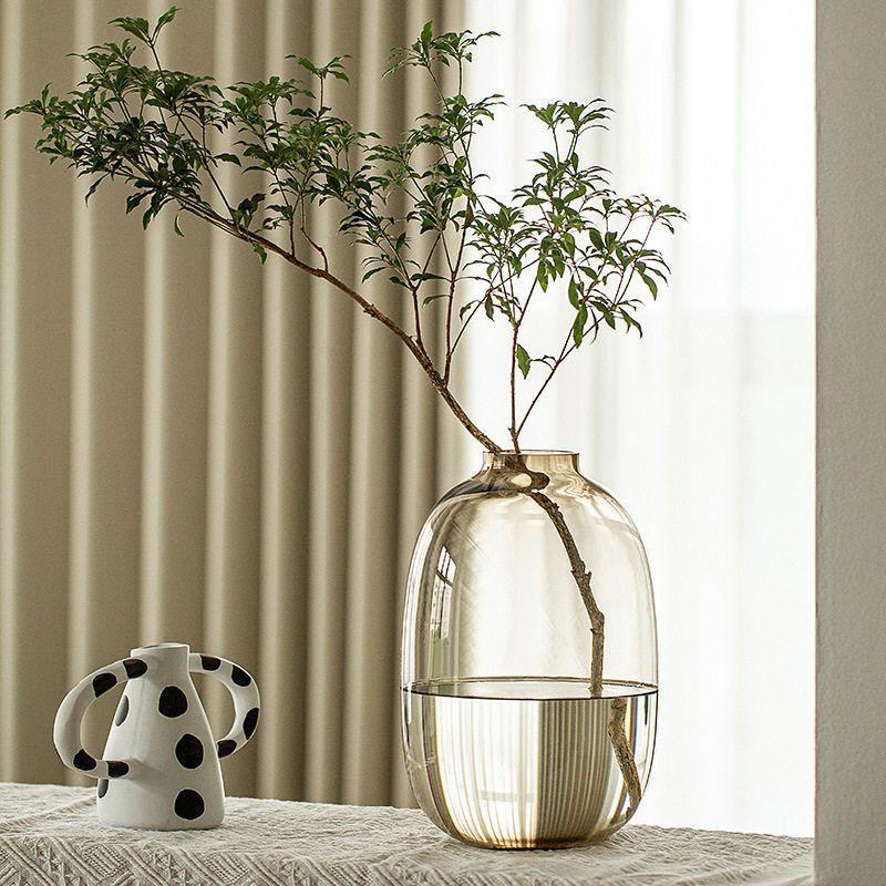 花瓶摆件客厅插花玻璃鲜花玉兰花大肚透明水养吊钟水培绿植大