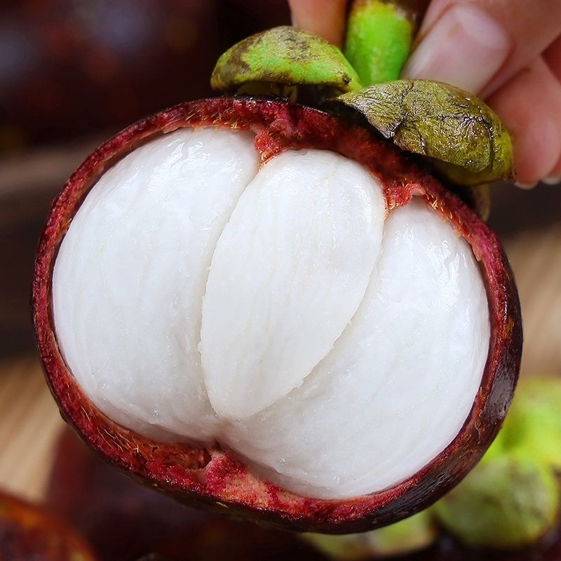 泰国老树山竹三斤29