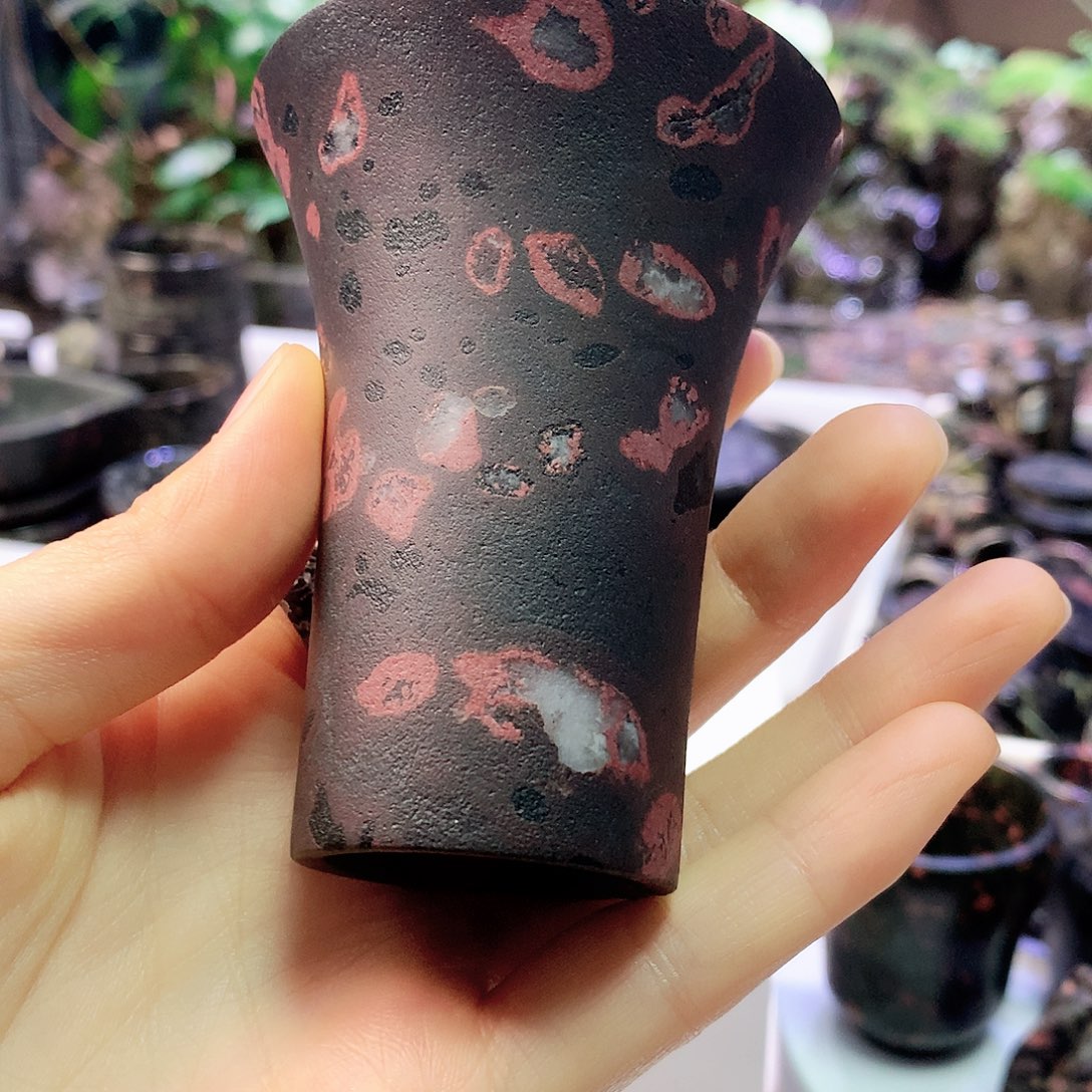 天然梅花玉石 开播福利